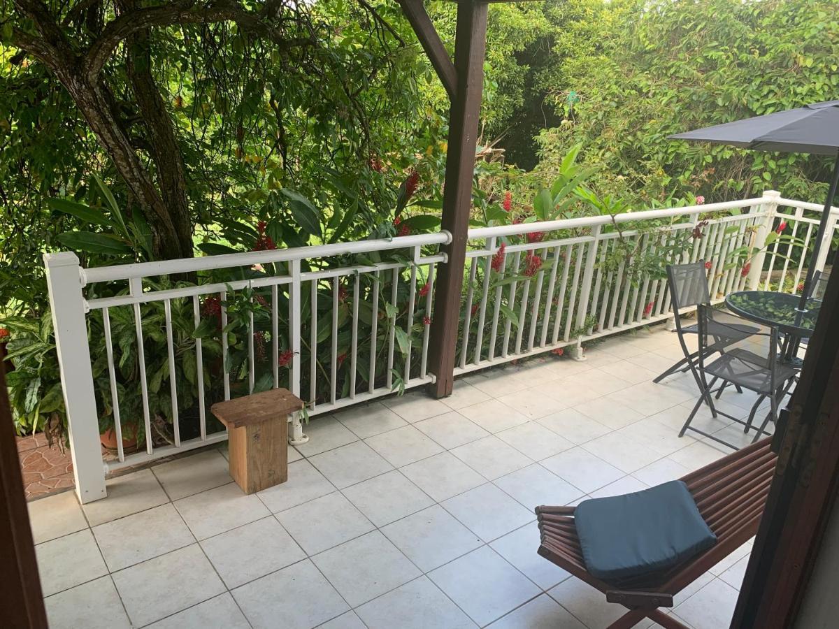 Logement Vacances Gissac Sainte-Anne Esterno foto